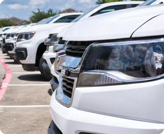 A row of white pickup trucks parked closely together in a parking lot on a sunny day, with the focus on the front grills and headlights of the vehicles.